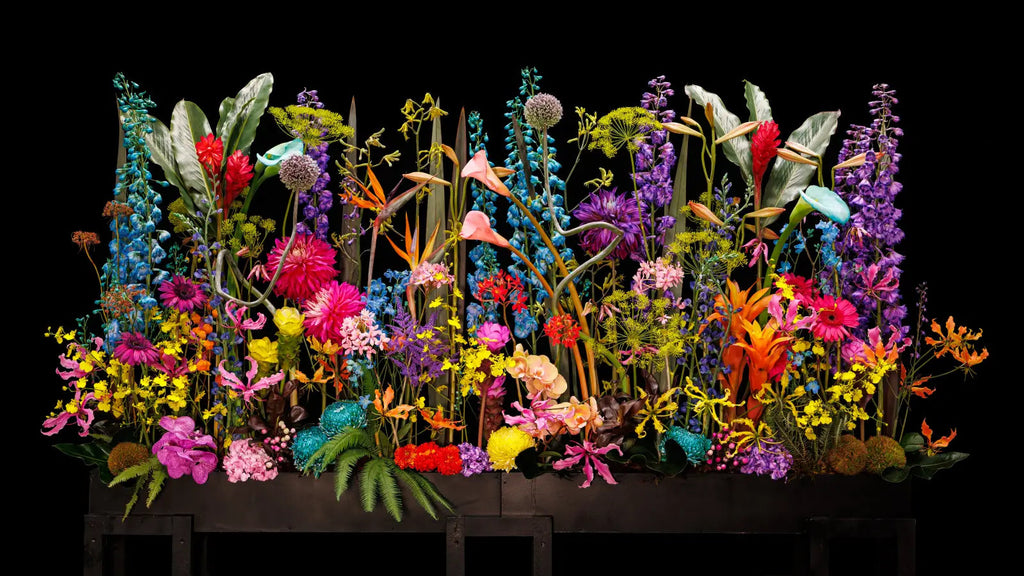 A wide Radilys flower arrangement in visible light against an ultra-black Musou Black Fabric KIWAMI backdrop