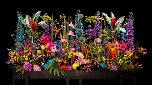 A wide Radilys flower arrangement in visible light against an ultra-black Musou Black Fabric KIWAMI backdrop