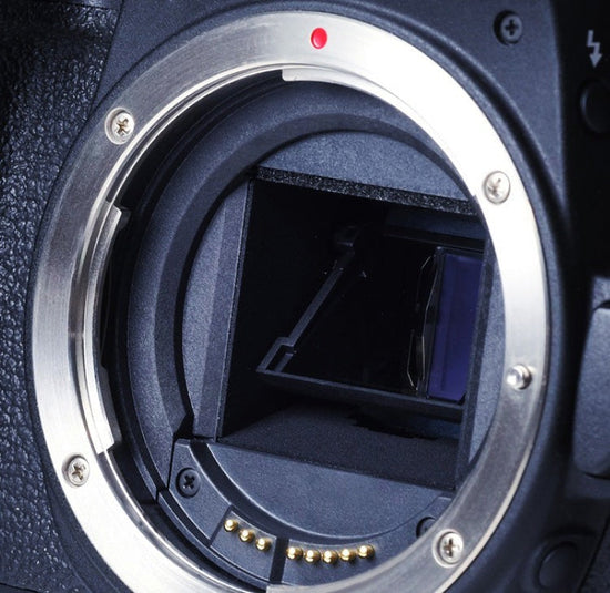 The inside of a camera body lined with an ultra-black sheet